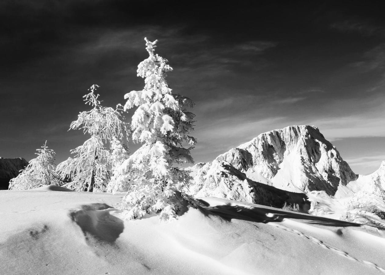 Appartamento Almhaus Nassfeld Sonnenalpe Nassfeld Esterno foto